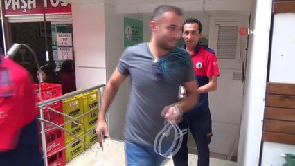 Ağaçta mahsur kalan kediyi itfaiye eri tırmanarak kurtardı