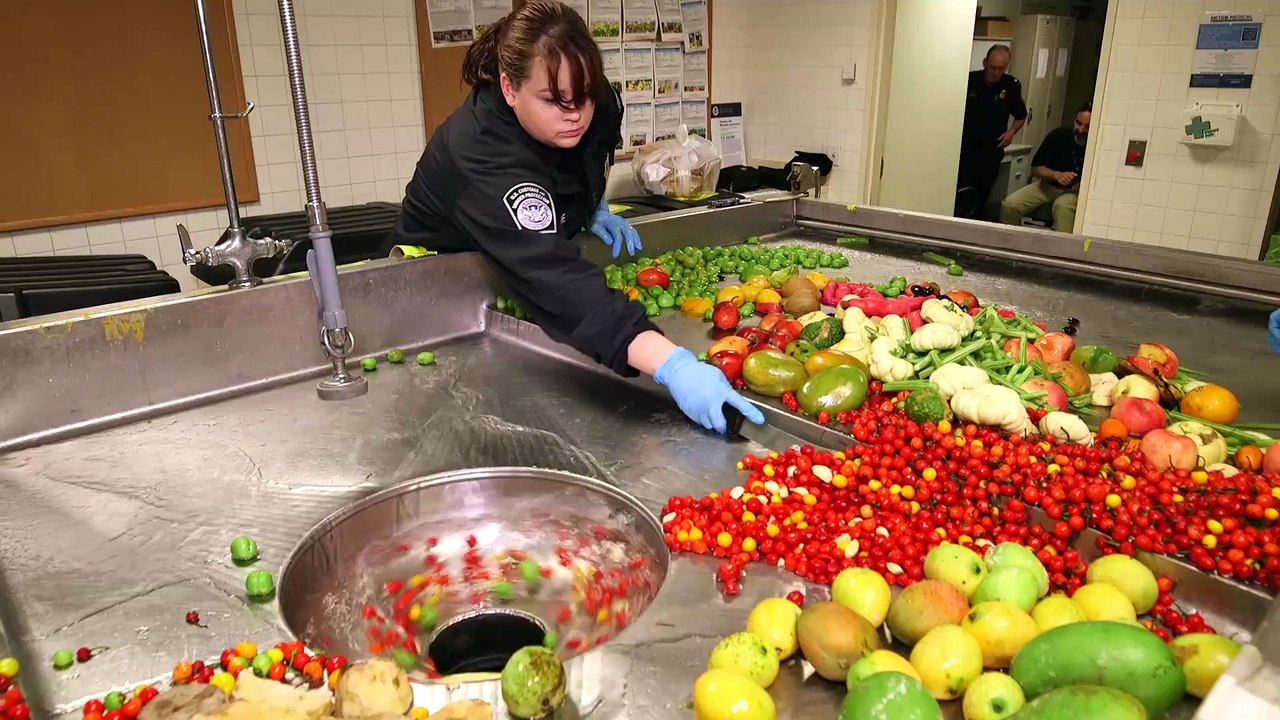 How Customs and Border Patrol destroys illegal items at JFK Airport