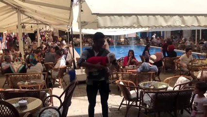Kuzu "Saffet" ile memleketini geziyor - SİVAS
