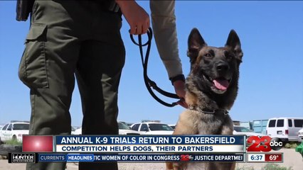 Bakersfield K-9 Trials returns July 20