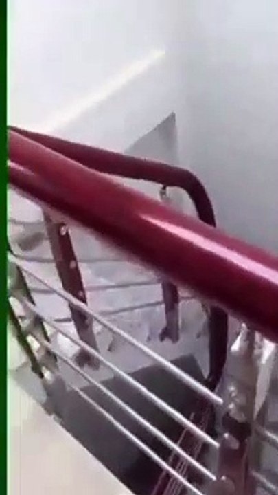 Clip nóng 37s và cầu thang thần thánh