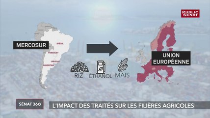 Download Video: L'impact des traités sur les filières agricoles