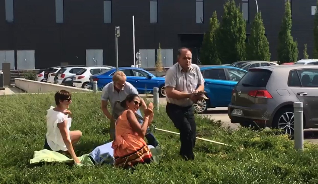 Une cane et ses huit petits sauvés