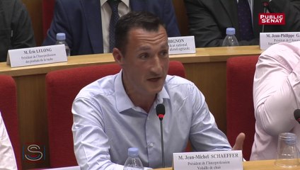 Jean-Michel Schaeffer : « Sur les normes, c'est un jeu de dupes »