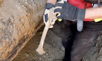 Des ossements humains découverts sur un chantier