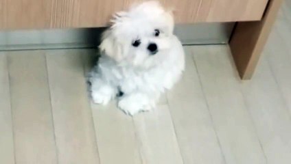 남동출장안마 -후불100%ョØ7ØA7575A0062｛카톡DDR88｝ 남동전지역출장안마 남동오피걸 남동출장마사지 남동안마 남동출장마사지 남동콜걸샵∩⊂◈