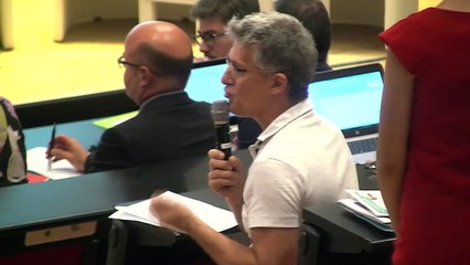 Débat public NFL - Réunion publique de clôture - Lyon - 11 juillet 2019 - Partie 3