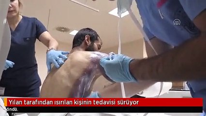 Yılan tarafından ısırılan kişinin tedavisi sürüyor