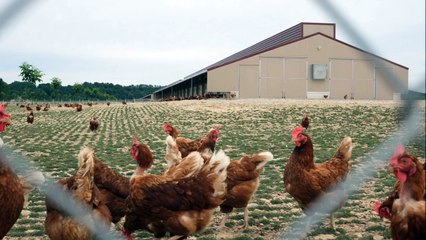 Yannick Neuder : « Notre philosophie générale est de diminuer les déchets»