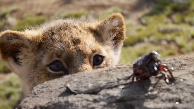 Regresa a la gran pantalla la versión renovada de 'El Rey León'