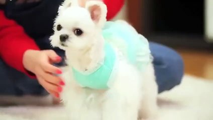 여주출장아로마≑여주출장안마 -후불100%ョØ1ØE7362E3210｛카톡RQ43｝ 여주전지역출장안마 여주오피걸 여주출장마사지 여주안마 여주출장마사지 여주콜걸샵ぜそた