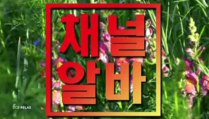 신림텐프로아르바이트 구로노래방도우미아르바이트 ≫ 채널알바.COM ≪ 사당퍼블릭아르바이트 울산아로마알바 오산여성아르바이트