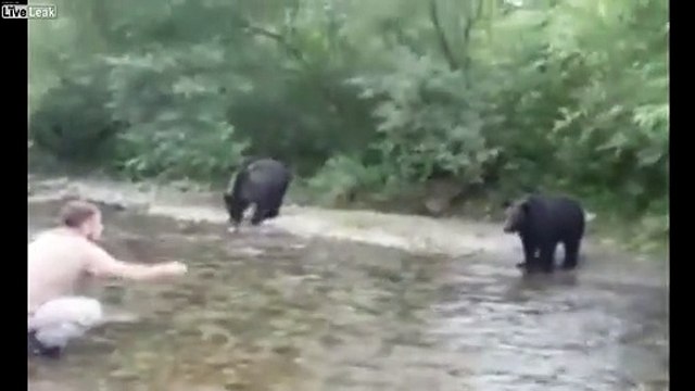 Ce pêcheur nourrit des ours sauvages à mains nues !
