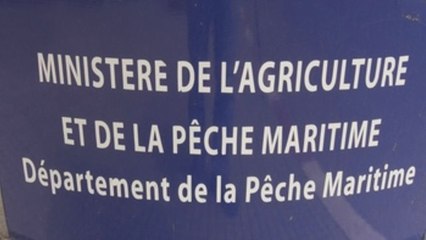 Inicia reunión de comisión técnica euro-marroquí para acuerdo pesquero