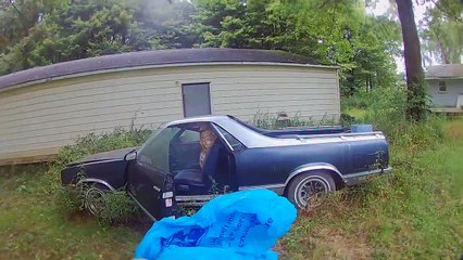 Il découvre un énorme nid de guêpe dans sa voiture