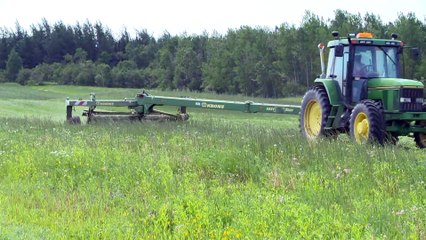 Première coupe des foins : les agriculteurs entre soulagement et prudence