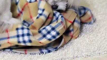 해남출장아로마≑해남출장안마 -후불100%ョØ1ØE2659E1768｛카톡KP93｝ 해남전지역출장안마 해남오피걸 해남출장마사지 해남안마 해남출장마사지 해남콜걸샵≠±×