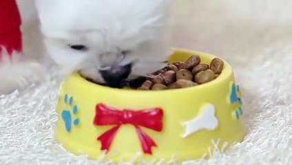 진해출장안마 -후불100%ョØ1ØS2671S8135｛카톡AQ52｝ 진해전지역출장안마 진해오피걸 진해출장마사지 진해안마 진해출장마사지 진해콜걸샵スズセ