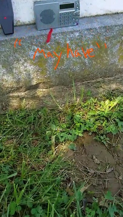 Mt Olivet Cemetery Part 1 the Ghost of Mr. Burner Lunar Paranormal Virginia