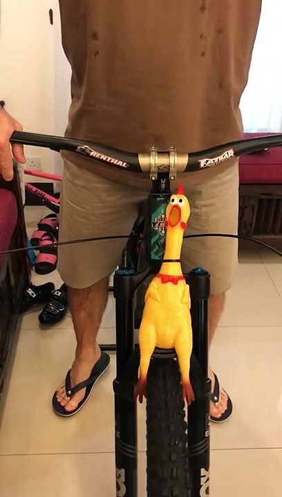 Better Than a Bike Horn
