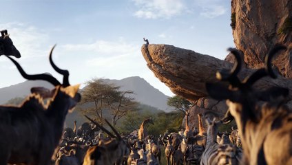 Le Roi Lion (2019) - Extrait du film - L'histoire de la vie