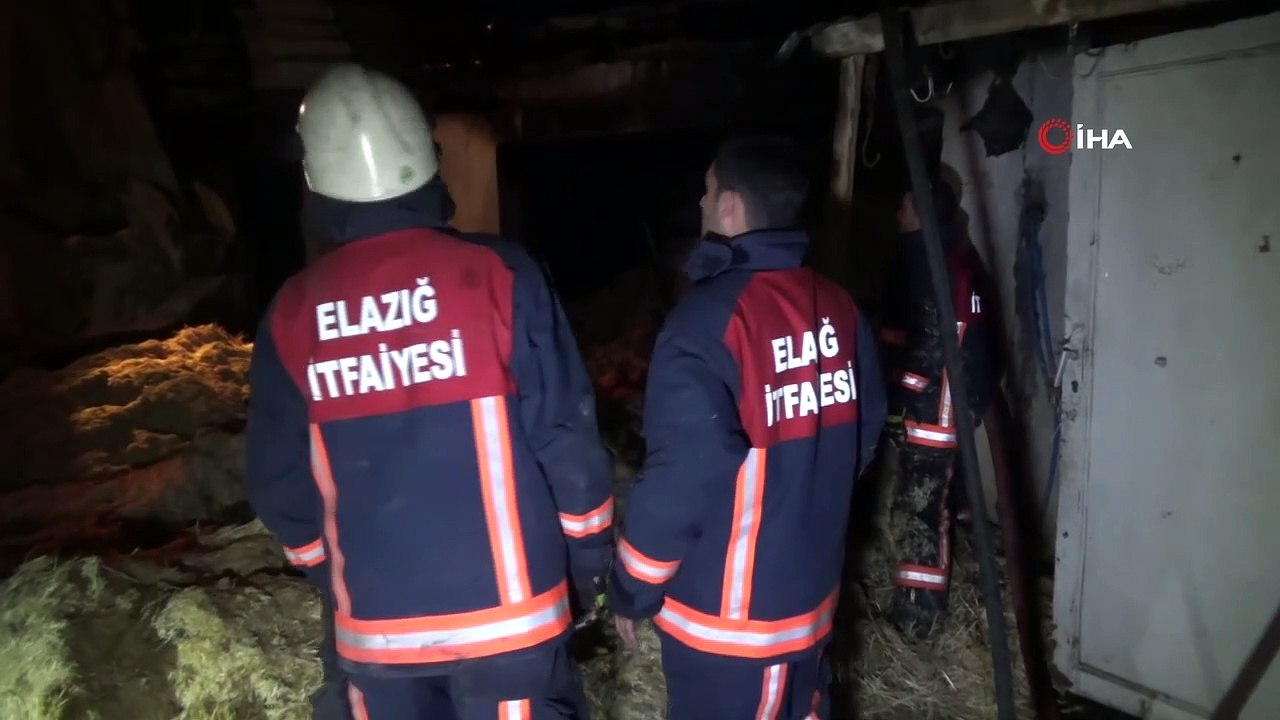 Elazığ’da ahır yangını, hayvanların çoğu kurtarıldı