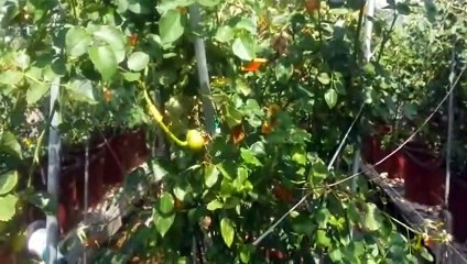 장수출장안마 -후불100%ョØ1ØE6706E9275｛카톡ZU69｝ 장수전지역출장안마 장수오피걸 장수출장마사지 장수안마 장수출장마사지 장수콜걸샵☜●♀