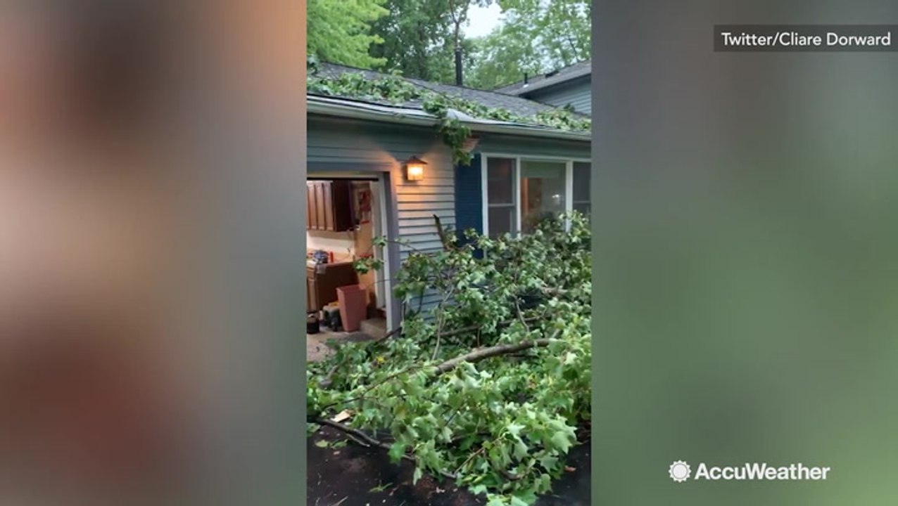 It's like storms are nature's lumberjacks