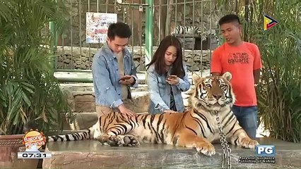 TRIP TICKET: Baluarte Zoo