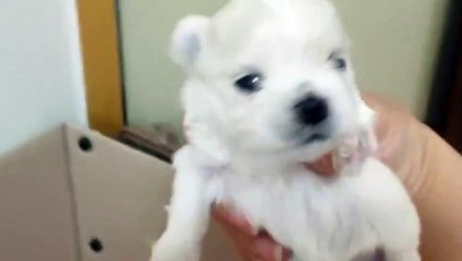 진해출장안마 -후불100%ョØ1ØA7685A6221｛카톡PP888｝ 진해전지역출장안마 진해오피걸 진해출장마사지 진해안마 진해출장마사지 진해콜걸샵≫√▼