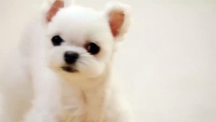 군포출장안마 -후불100%ョØ7ØS7301S9649｛카톡LA666｝ 군포전지역출장안마 군포오피걸 군포출장마사지 군포안마 군포출장마사지 군포콜걸샵ЛМН