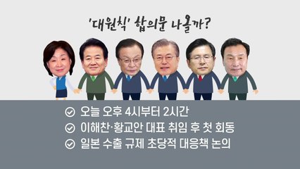"초당적 협력"...日 향한 한목소리 나올까? / YTN