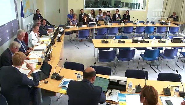 Commission des Affaires européennes : Pêche durable pour l’Union européenne ; Politique spatiale européenne - Mercredi 17 juillet 2019