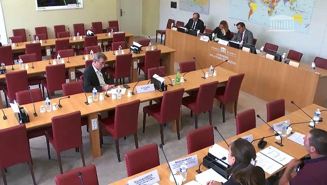 Impact des énergies renouvelables : Auditions diverses (suite) - Mercredi 17 juillet 2019