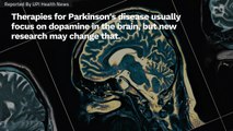 Scientists Say Parkinson's Research Should Focus On Two Brain Chemicals Instead Of One