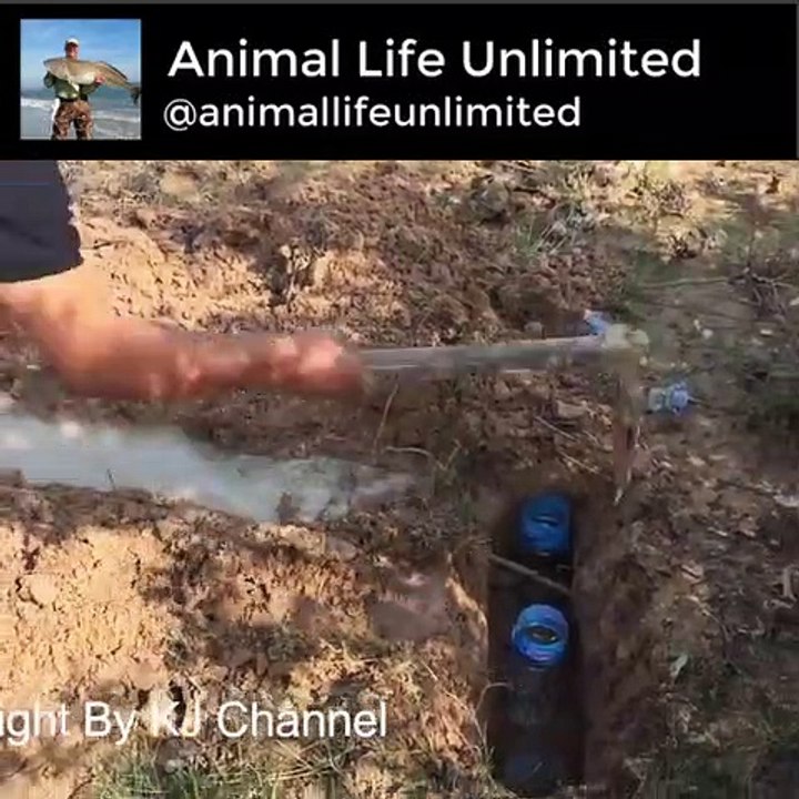 A Man Catching Fish With Bottle Deep Hole Fish Trap at Siemreap