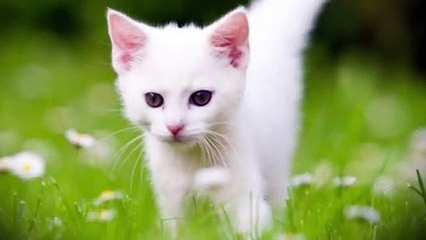 팔달출장안마 -후불100%ョØ7ØA7575A0062｛카톡DK654｝ 팔달전지역출장안마 팔달오피걸 팔달출장마사지 팔달안마 팔달출장마사지 팔달콜걸샵ろゎわ