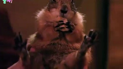 의성출장안마 -후불100%ョØ1ØE7362E3210｛카톡VR91｝ 의성전지역출장안마 의성오피걸 의성출장마사지 의성안마 의성출장마사지 의성콜걸샵ュユョ