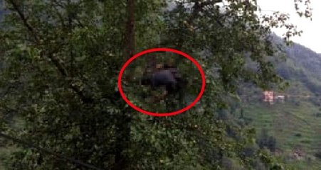 Armut toplamaya çıktığı ağaçta akıma kapılınca öldü