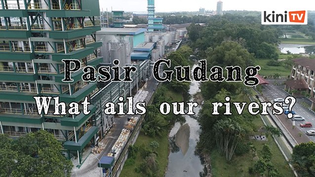 Pasir Gudang: What ails our rivers?