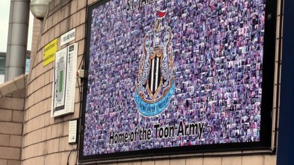 Fan Reaction To Newcastle Utd's Head Coach!