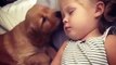 Adorable Puppy Gently Tries to Wake Up Her Sleeping Owner