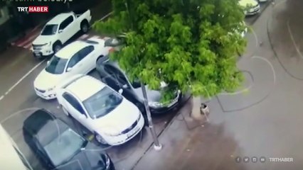 Aksaray'da şiddetli rüzgar ağacı yerinden söktü