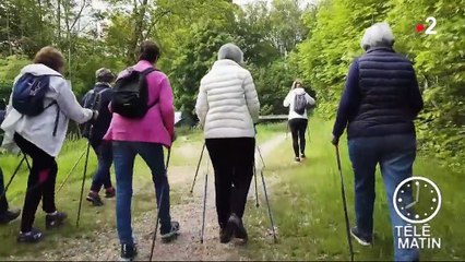Réforme des retraites : les préconisations dévoilées