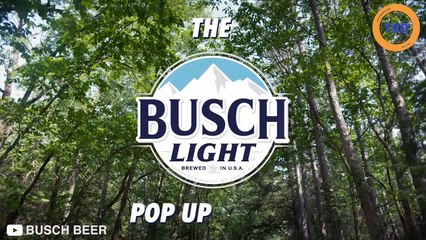 Si vous trouvez ce bar  caché dans la forêt, vous  aurez de la bière à vie  !