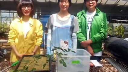 연천출장안마 -후불100%ョØ1ØE2659E1768｛카톡KP93｝ 연천전지역출장안마 연천오피걸 연천출장마사지 연천안마 연천출장마사지 연천콜걸샵ЭЮЯ