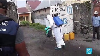 Épidémie d'Ebola en RDC : portrait d'un virus tueur