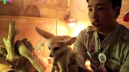 인제출장안마 -후불100%ョØ1ØS2671S8135｛카톡LA369｝ 인제전지역출장안마 인제오피걸 인제출장마사지 인제안마 인제출장마사지 인제콜걸샵ニヌネ