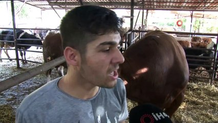 Sarı fırtına, sıfır otomobil fiyatına müşteri bekliyor