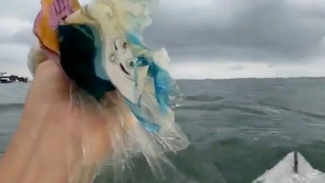 Surfers Clean The Ocean